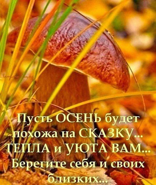   ,    . - 24  2021  08:50 - 6