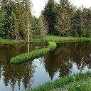 ���� ����, ����� - ��������� 31 ��� 2021 � ������ ���������� ������