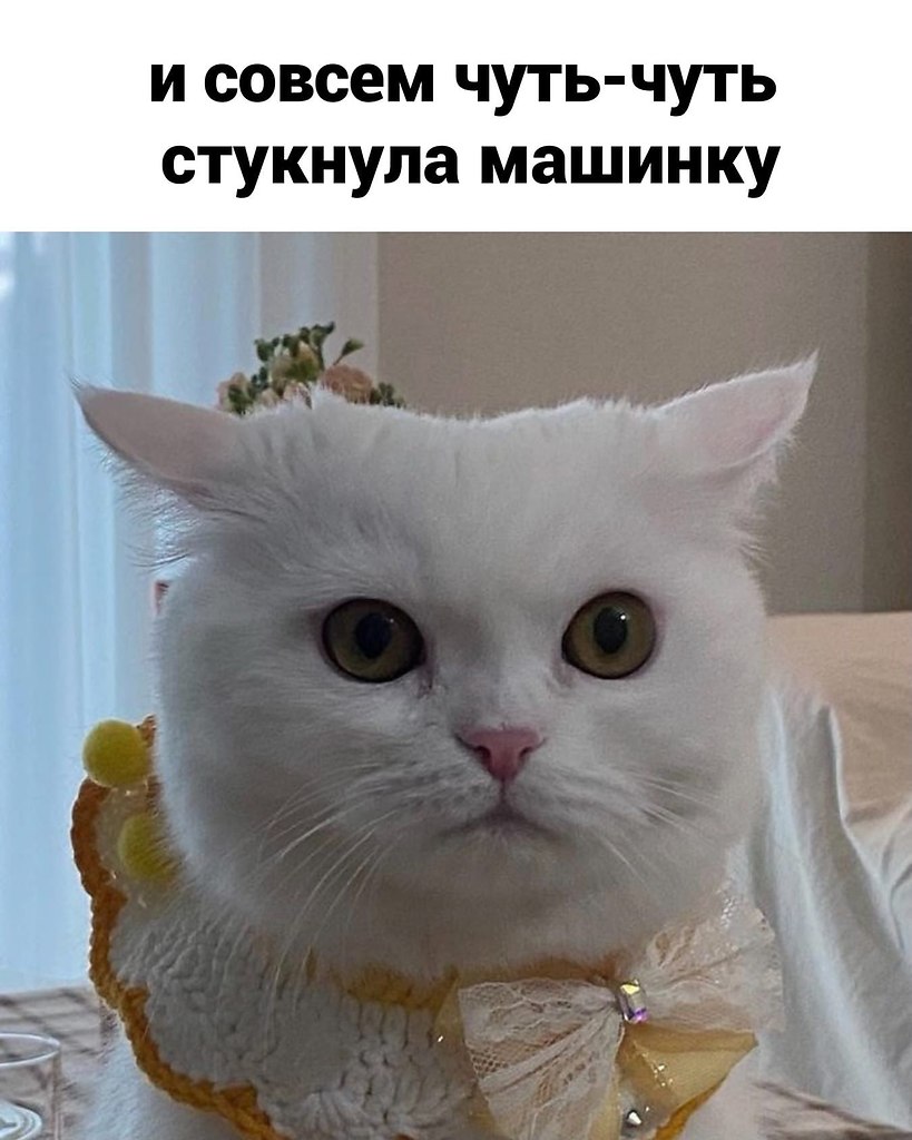    - 2