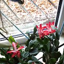  , - -  7  2022   2022