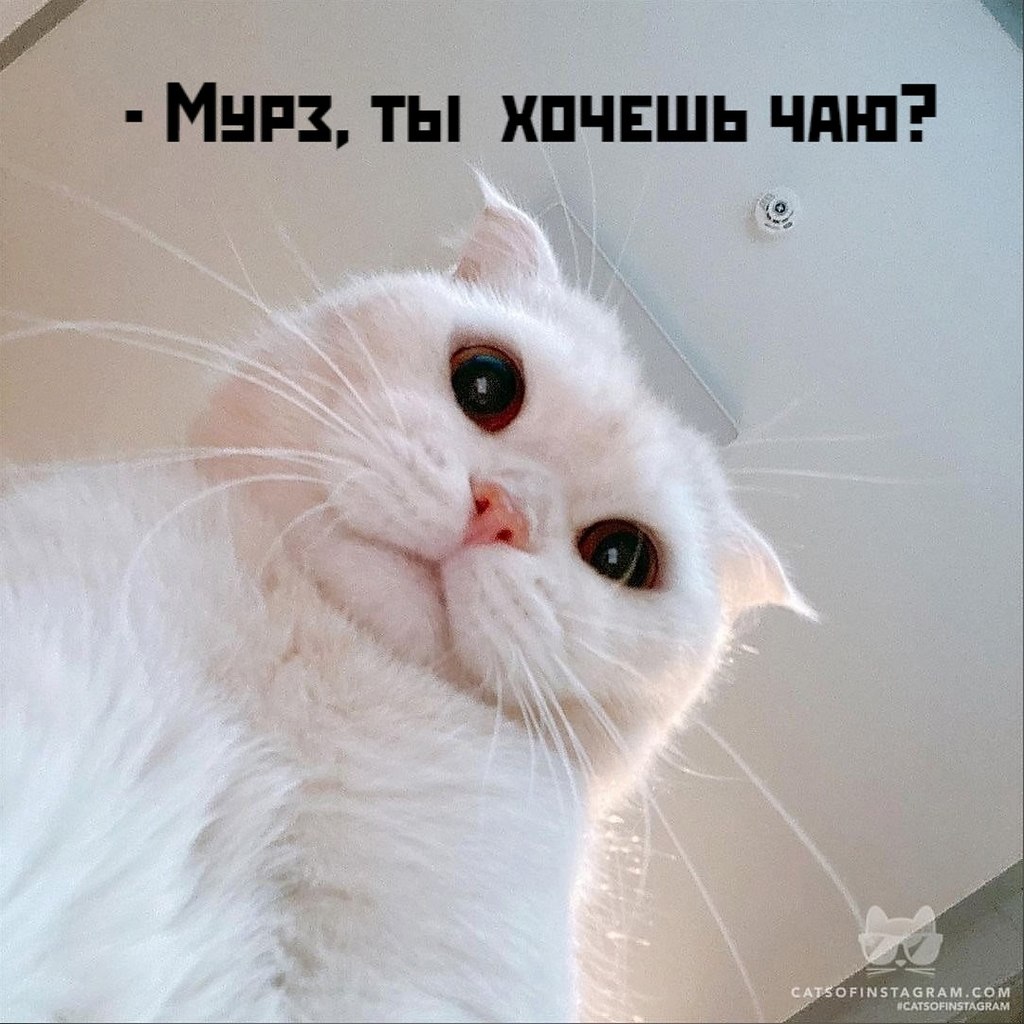       - 24  2021  10:14