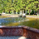  , , 43  -  19  2021   19.06.2021 - 