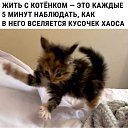  , , 49  -  16  2021   