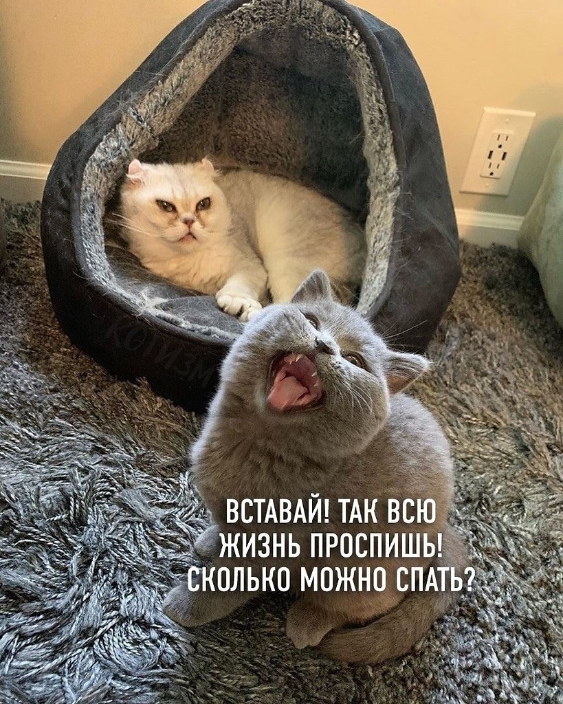  -         - 4