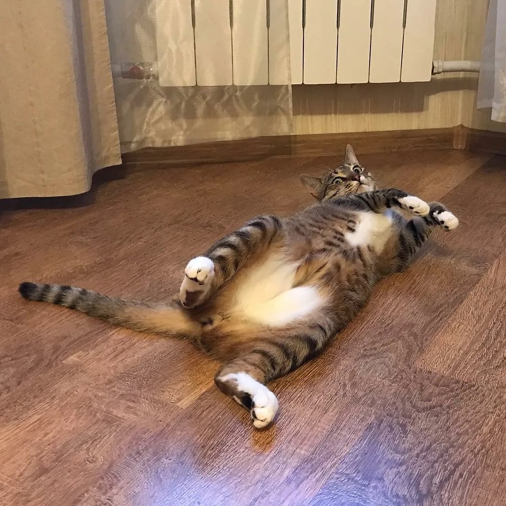   ,  ,     !!! - 3
