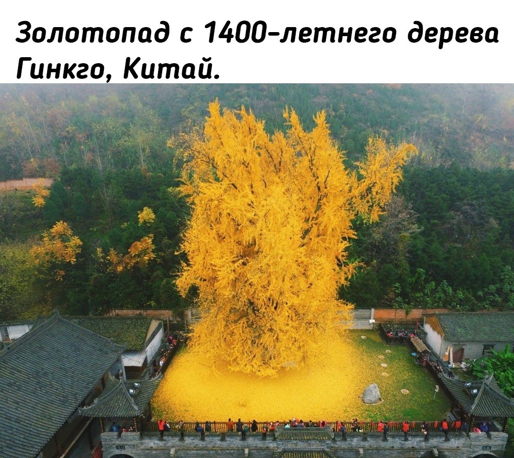 pe o c6p c, p n 6 pa  e ee.