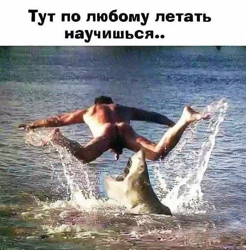   - 16  2021  12:13