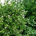 ���� ����, ������ ��������, 43 ���� - ��������� 10 ���� 2021 � ������ ���� ����������