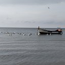 ���� �����, ���� - ��������� 10 ������� 2021 � ������ ������ ��������