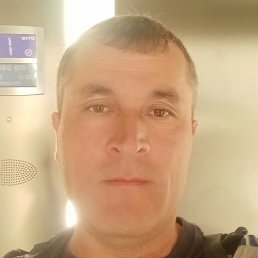 Kamal, ������, 48 ���