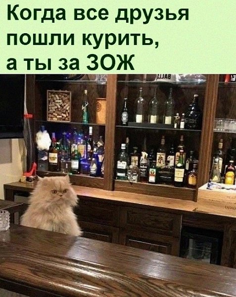   :D - 15  2021  08:45