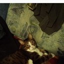 ���� �����, �����-���������, 46 ��� - ��������� 15 ��� 2021 � ������ ���� ����������