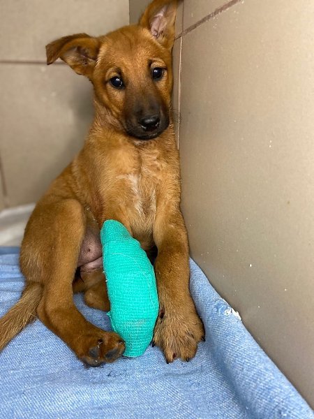 #__.   !     -:    ...