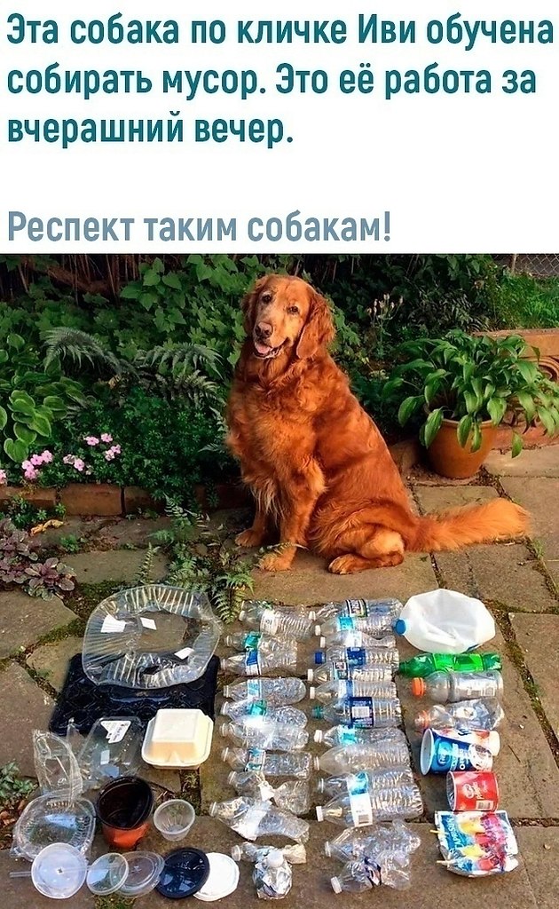   - 26  2021  01:18