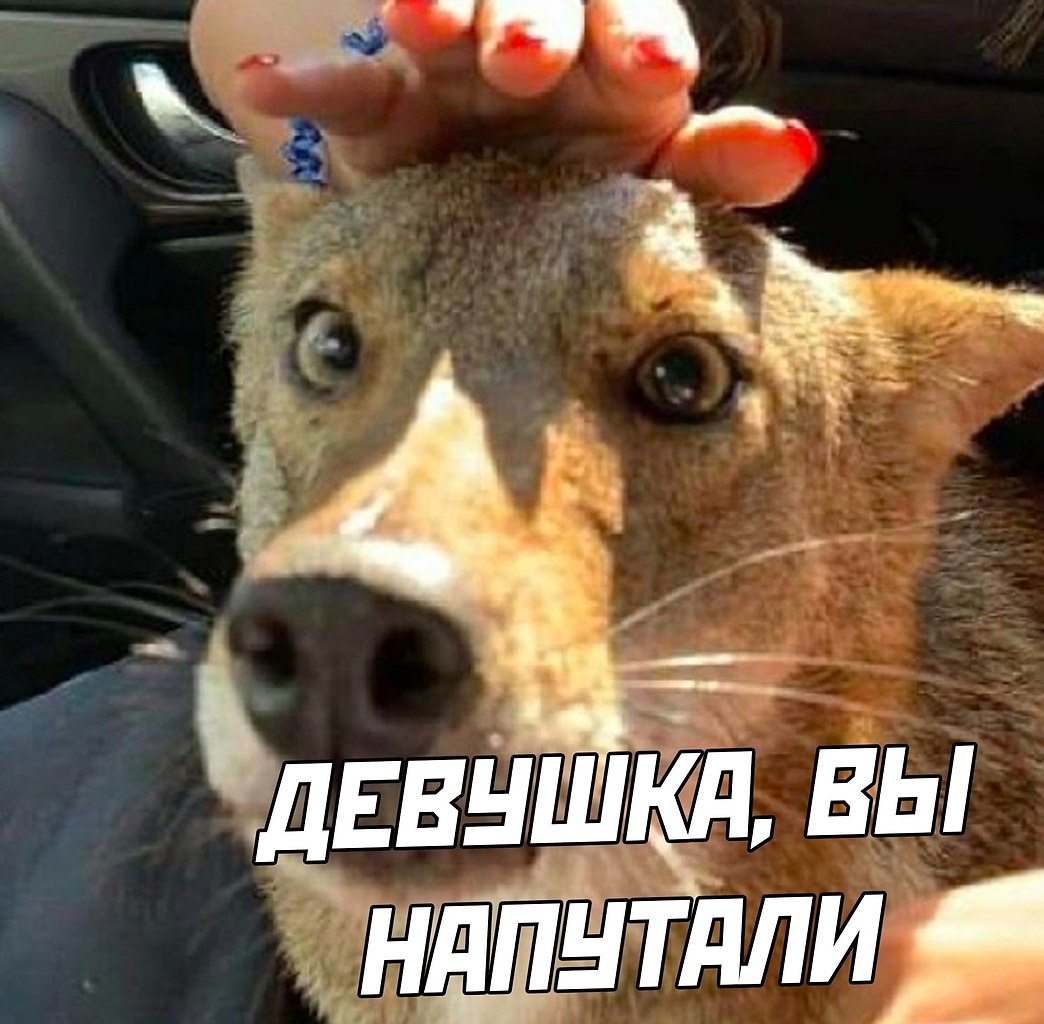   . - 3