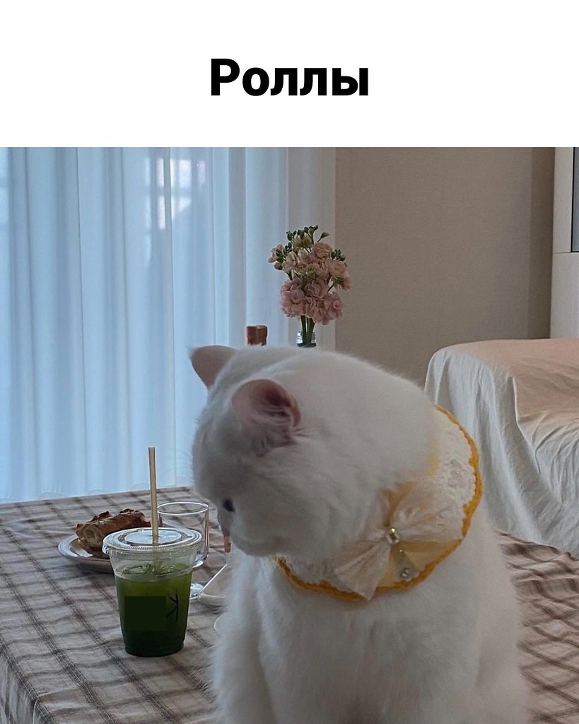    - 4