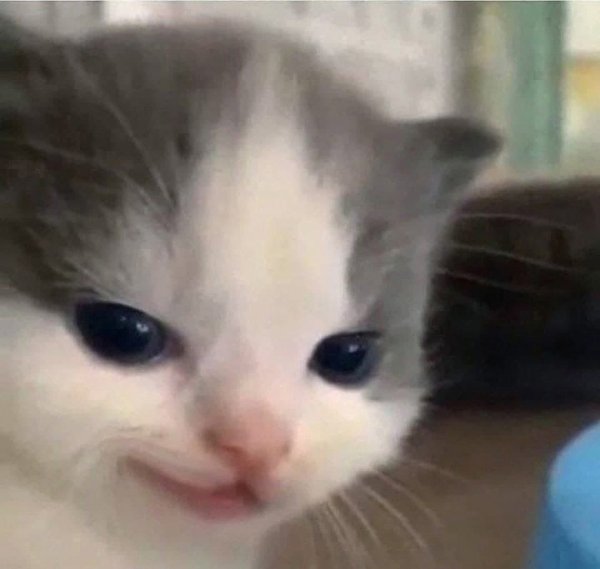  ,    ,  ! - 3