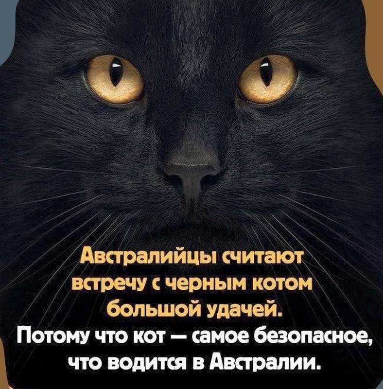  - 10  2021  20:54