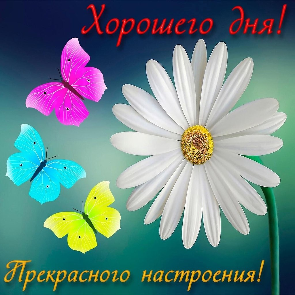   ,    . - 25  2021  23:49 - 5