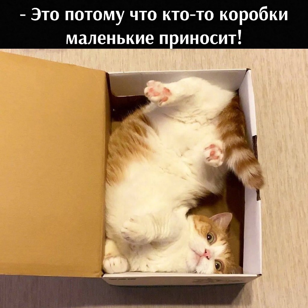       - 6  2021  16:24 - 2