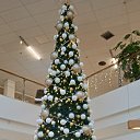 ���� "�����"))), ������ ���� - ��������� 12 ������� 2021 � ������ ������ ��������