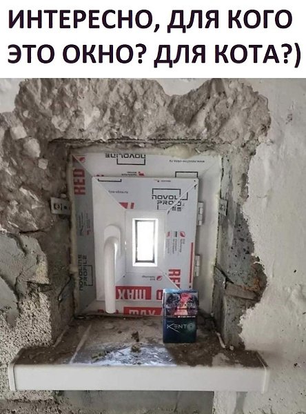 Меня больше интересует, как они смогли его установить))