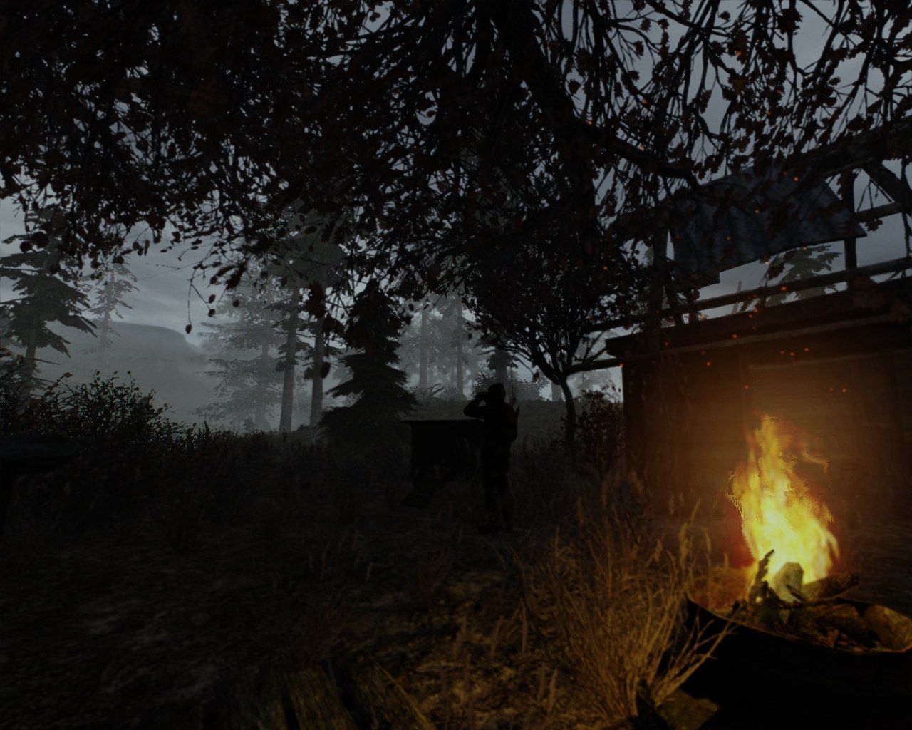 S.T.A.L.K.E.R. - 1  2021  20:39