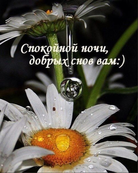   ,    . - 18  2021  22:32 - 4