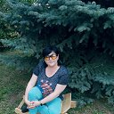 ������ ���� �����) �� ������� ���� ����������