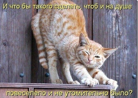    - 2  2022  20:14