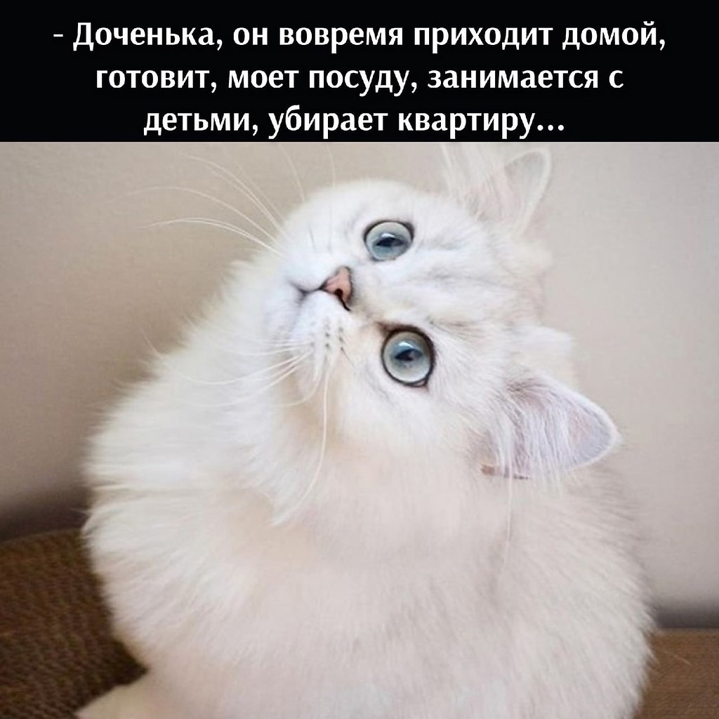       - 15  2021  22:41 - 2