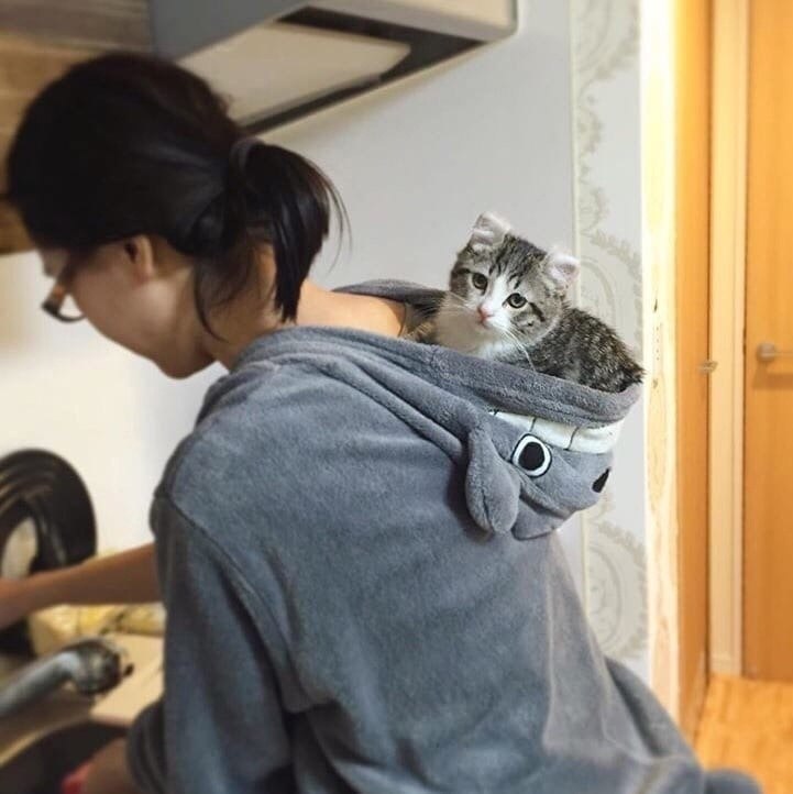         -      !  - 5