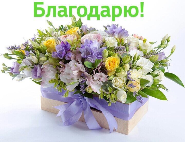  ,    . - 3  2021  15:41 - 4