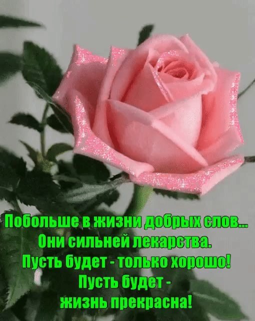  (   ) - 27  2021  08:15