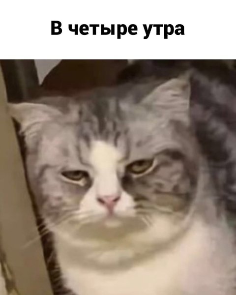 ����, � ���� ������ �����, �����������.������� - 4