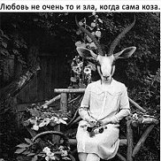 , 31 , 