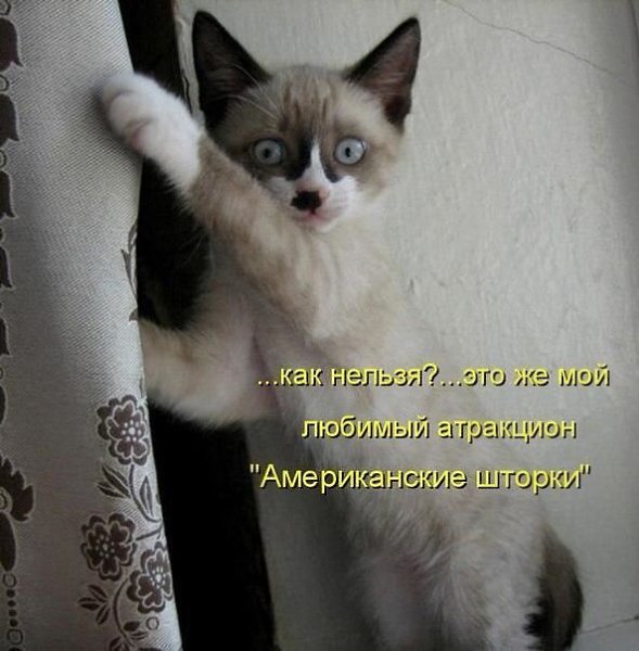    - 15  2021  08:41