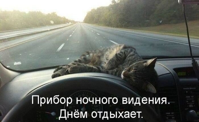    - 8  2021  17:36