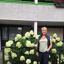 Nederland, Venlo, August 2019.  1839  1866      ,    .             (-),     19441945         .    