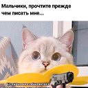���� ��������, �������, 55 ��� - ��������� 13 ������ 2022 � ������ ������ ��������