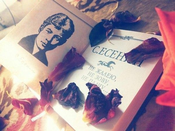Ревность - ужасное чувство, но, испытывая его, мы понимаем, как сильно любим. С.Есенин