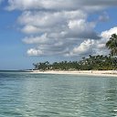  Sawubona, - -  29  2021    