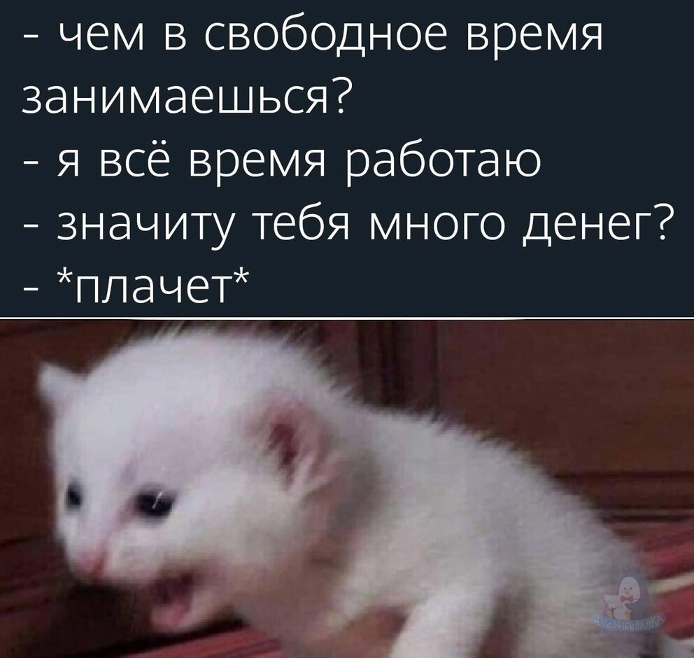 � �� �����, ��� ������ �����... ������� ����������