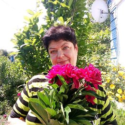 Наталья, 61, Белая Церковь