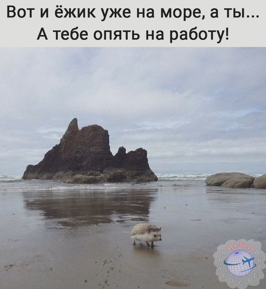 ��������� - 14 ������ 2021 � 17:48