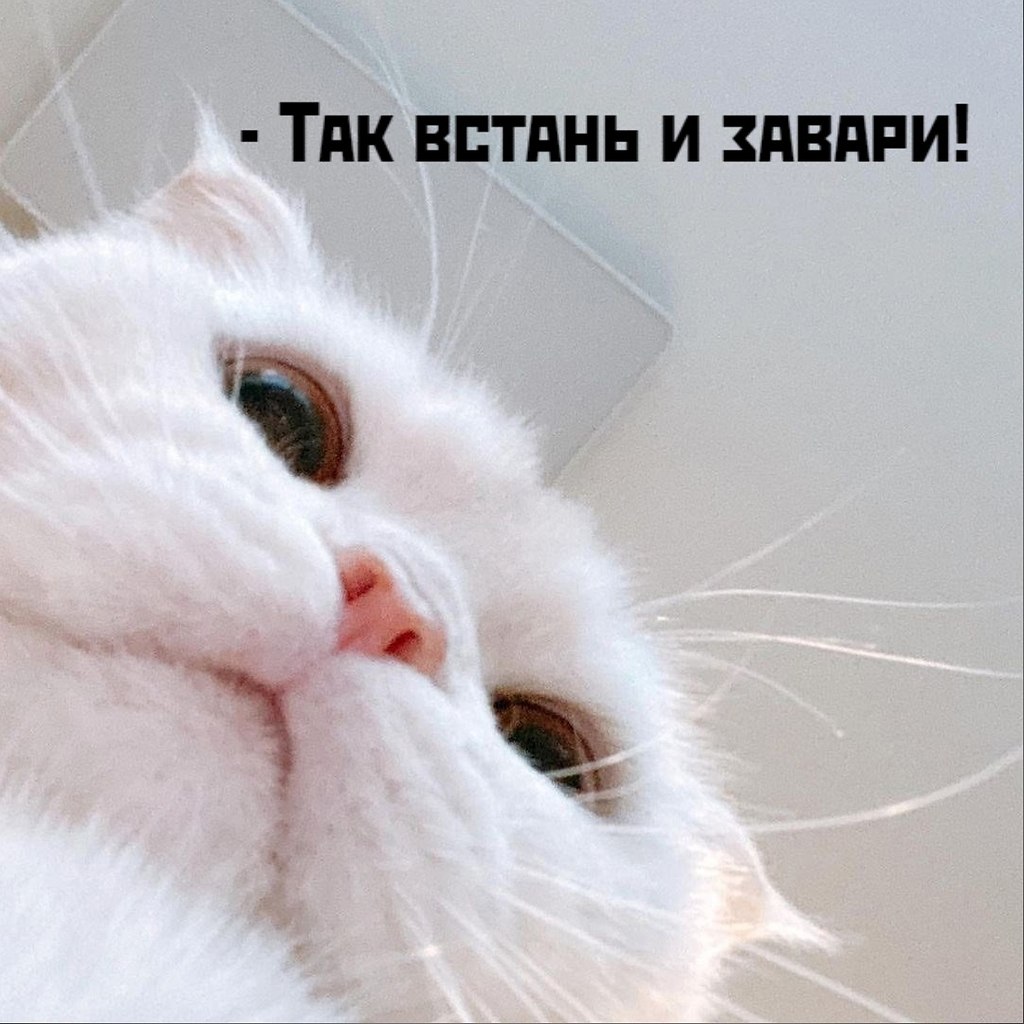       - 24  2021  10:14 - 3