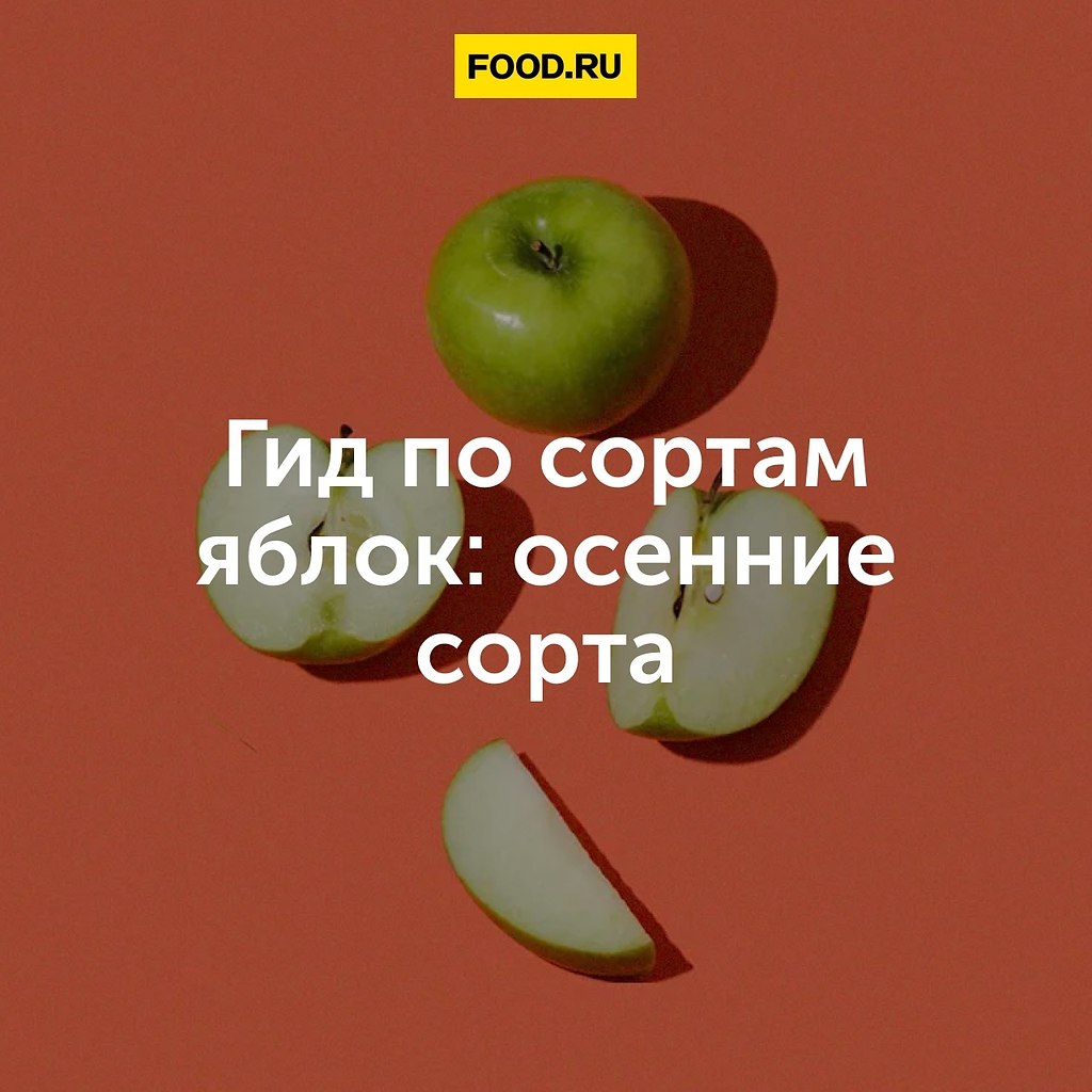 Гид по сортам яблок: осенние сорта.Яблоки осенних сортов созревают в начале сентября и хранятся ...
