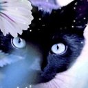 ���� ������, ��������, 50 ��� - ��������� 29 ����� 2021 � ������ ���� ����������