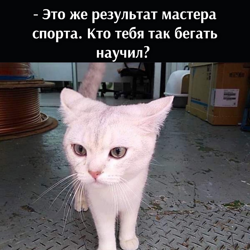       - 29  2021  21:51 - 3