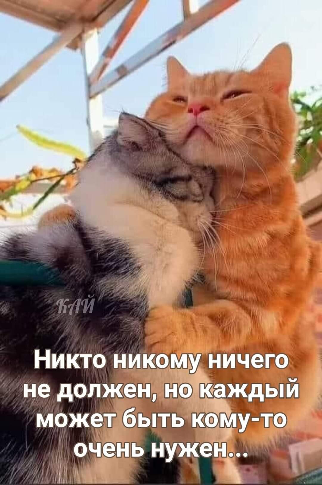  - 13  2021  15:49